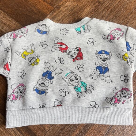 Nickelodeon Paw Patrol 2 Piece Set Outfit Pants Sweatshirt Grey Size 12 Months - Picture 10 of 11